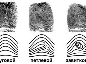 Криминалистическое значение следов рук