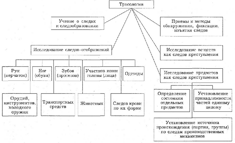 Схема классификации следов