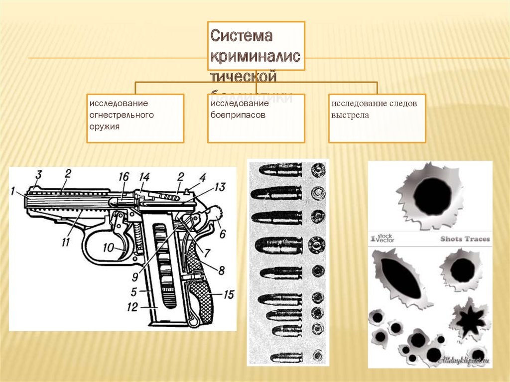 Исследование оружия. Баллистика судебная в криминалистическое оружиеведение. Исследование огнестрельного оружия в криминалистике. Судебно баллистическая классификация огнестрельного оружия. Криминалистическое исследование следов огнестрельного оружия.