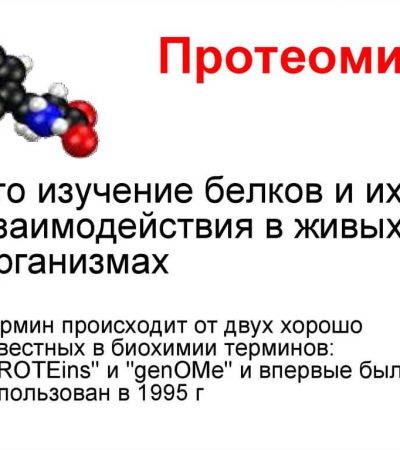 Протеомика